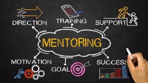 Working as a Business Mentor to help Business Owners