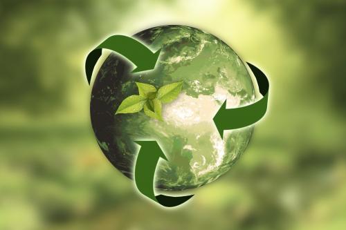 Sustainability in your supply chain